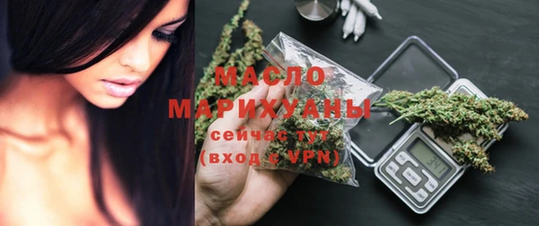 МДПВ Пересвет