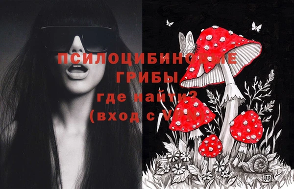 стаф Пестово