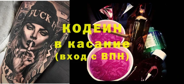 МДПВ Пересвет