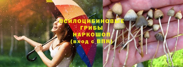 стаф Пестово