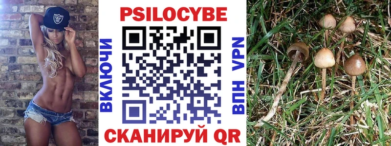 MEGA tor  Поворино  Псилоцибиновые грибы MAGIC MUSHROOMS 